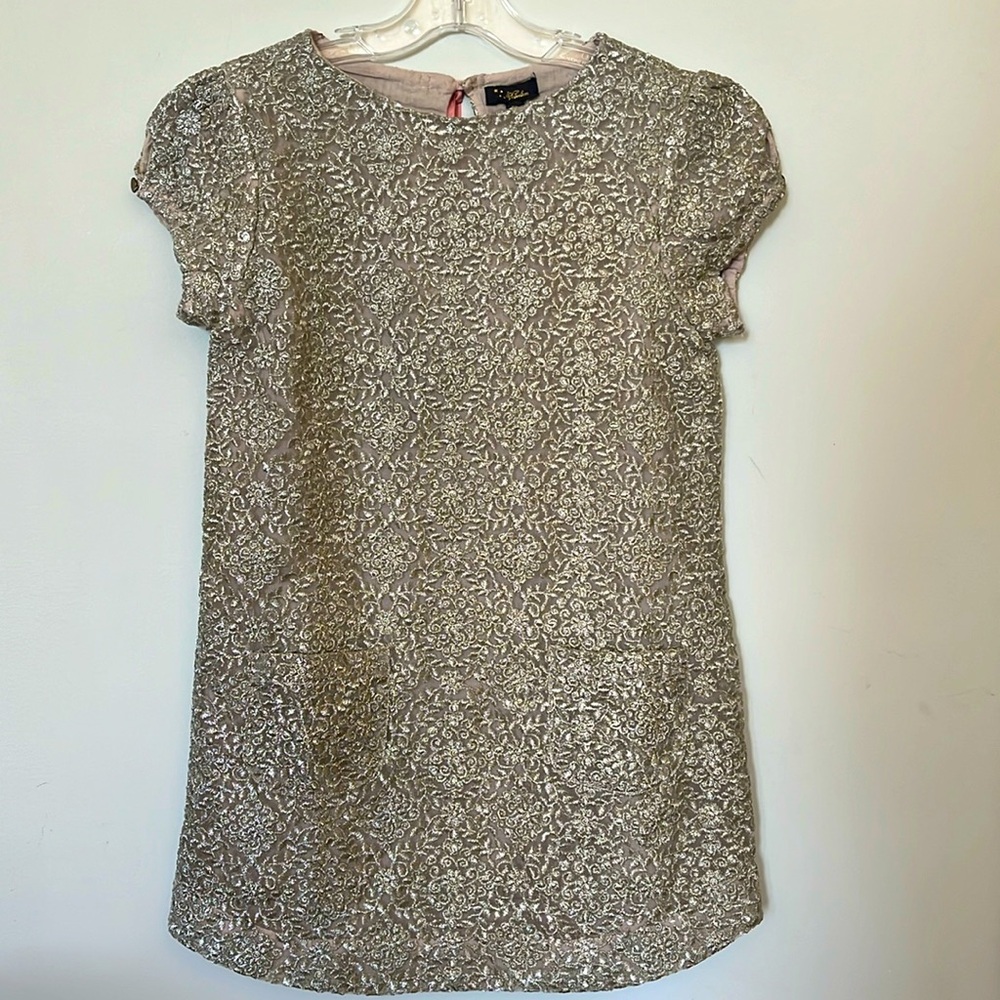 Velveteen Holiday Dress 8Y